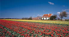 Nordic scenery